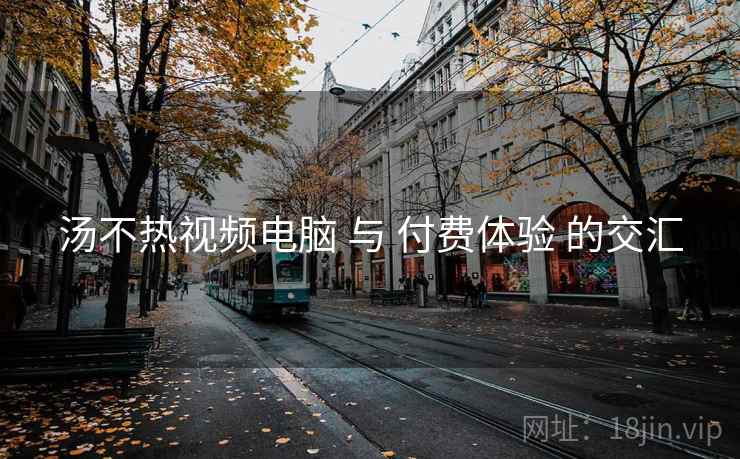 汤不热视频电脑 与 付费体验 的交汇  第1张