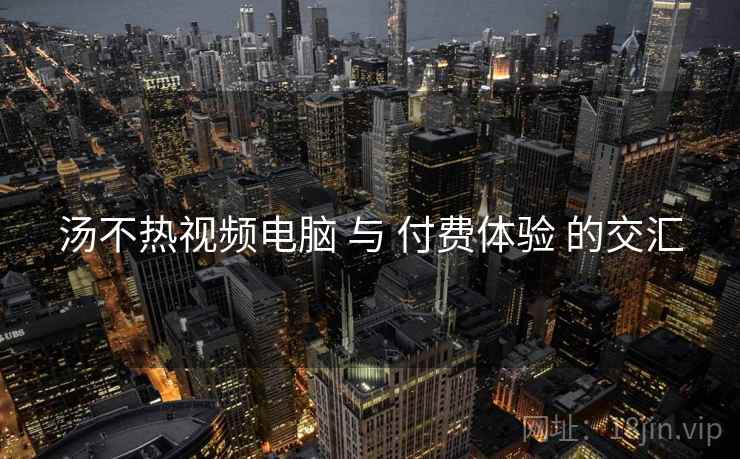 汤不热视频电脑 与 付费体验 的交汇  第2张