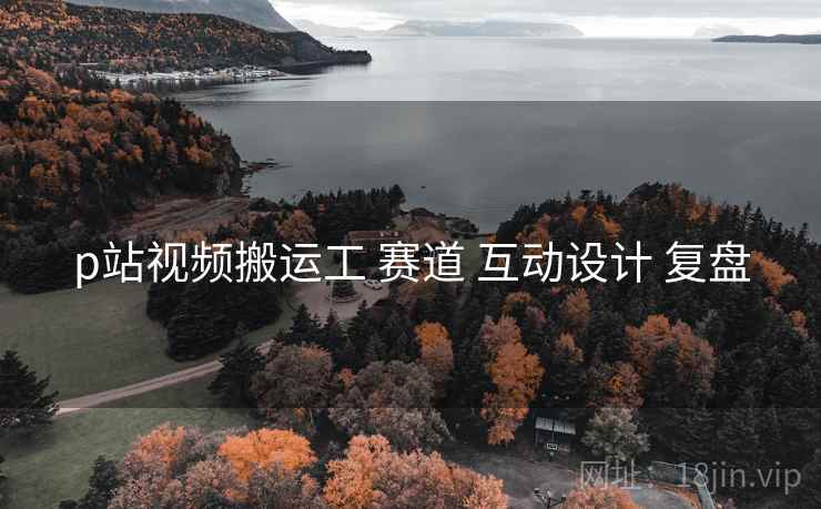 p站视频搬运工 赛道 互动设计 复盘  第1张