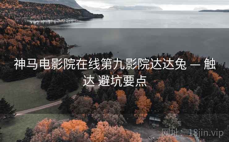 神马电影院在线第九影院达达兔 — 触达 避坑要点  第2张