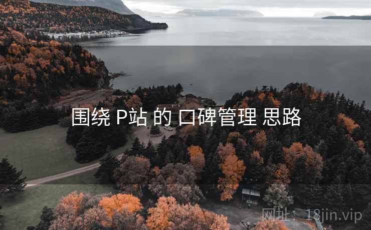 围绕 P站 的 口碑管理 思路  第2张