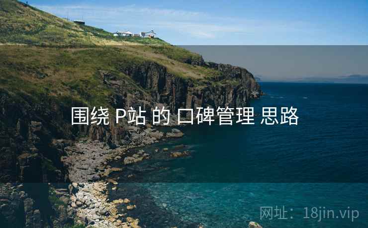 围绕 P站 的 口碑管理 思路  第1张