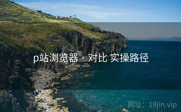 p站浏览器 · 对比 实操路径  第2张