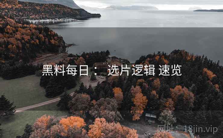 黑料每日 ： 选片逻辑 速览  第2张