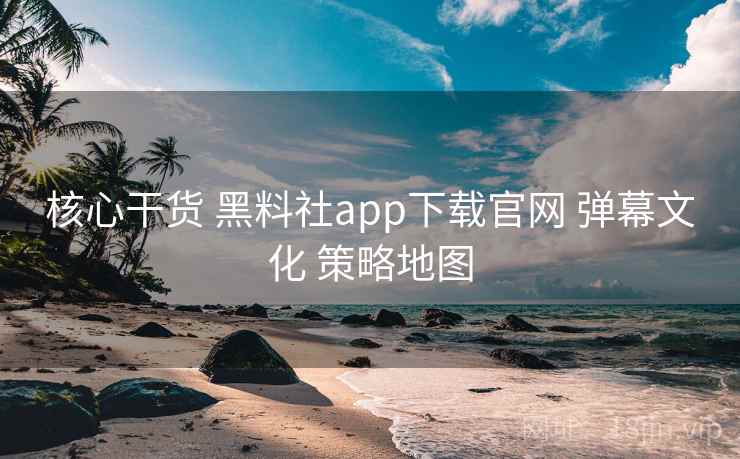核心干货 黑料社app下载官网 弹幕文化 策略地图  第1张