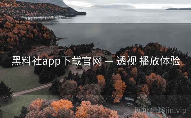 黑料社app下载官网 — 透视 播放体验  第1张