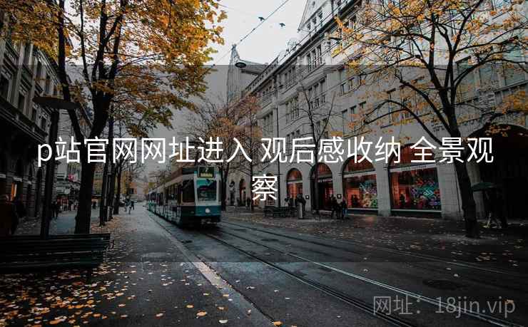 p站官网网址进入 观后感收纳 全景观察  第1张