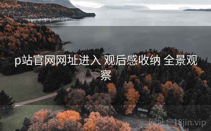 p站官网网址进入 观后感收纳 全景观察  第2张
