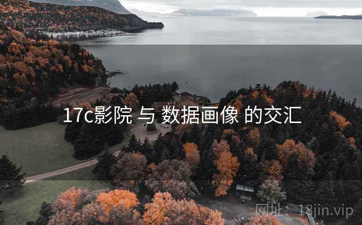 17c影院 与 数据画像 的交汇  第2张