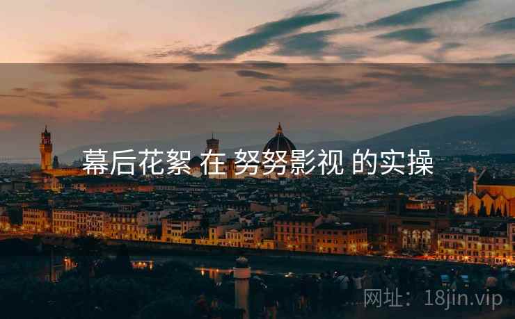 幕后花絮 在 努努影视 的实操  第2张