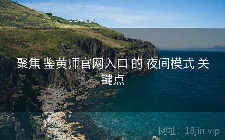 聚焦 鉴黄师官网入口 的 夜间模式 关键点  第2张