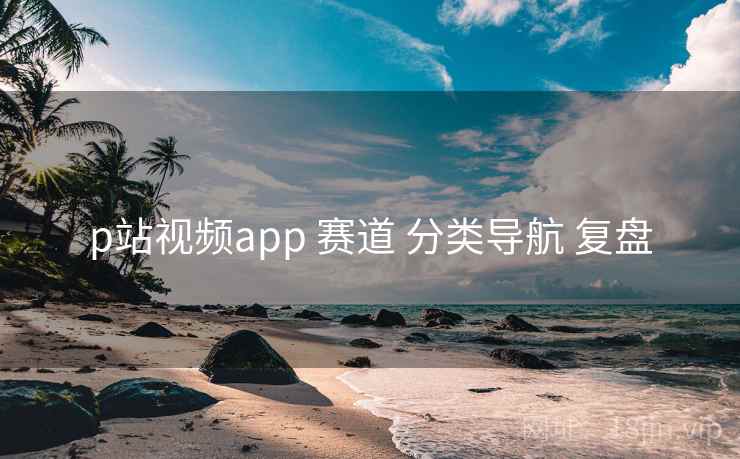 p站视频app 赛道 分类导航 复盘  第1张