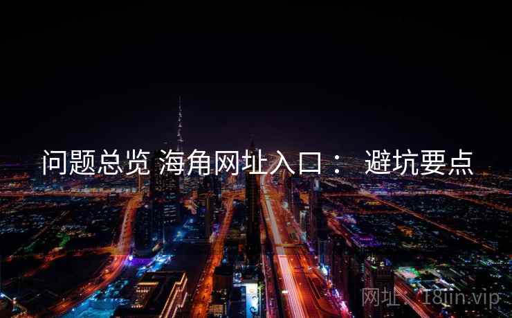 问题总览 海角网址入口 ： 避坑要点  第2张