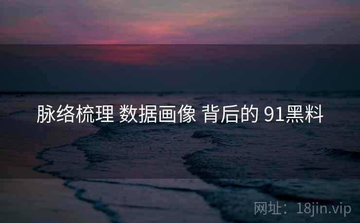 脉络梳理 数据画像 背后的 91黑料  第1张