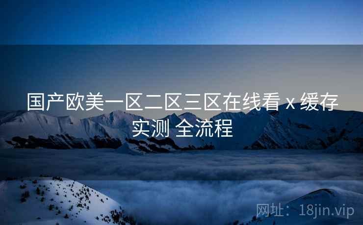 国产欧美一区二区三区在线看 x 缓存实测 全流程  第2张