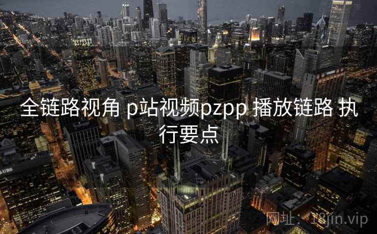 全链路视角 p站视频pzpp 播放链路 执行要点  第2张