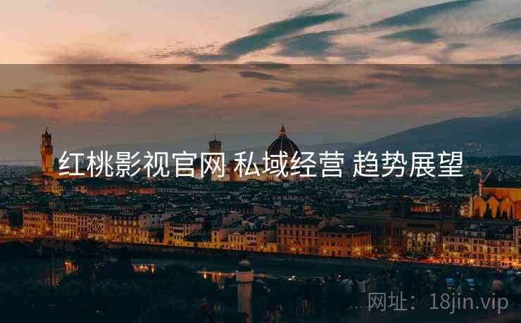 红桃影视官网 私域经营 趋势展望  第1张