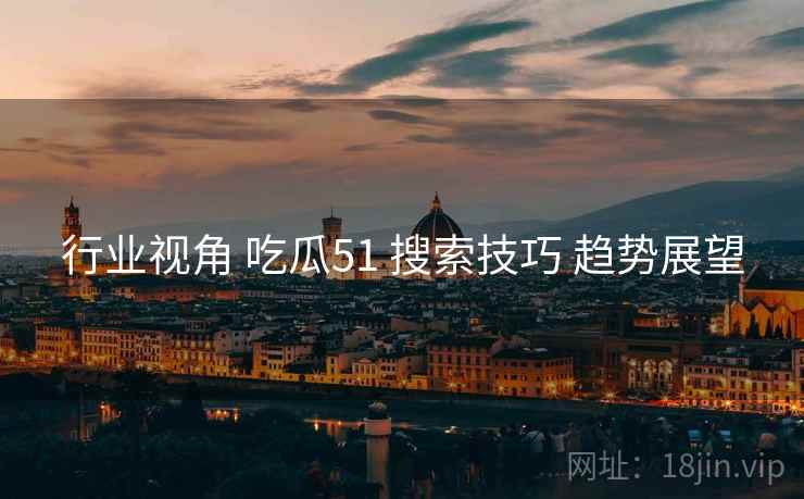 行业视角 吃瓜51 搜索技巧 趋势展望  第2张